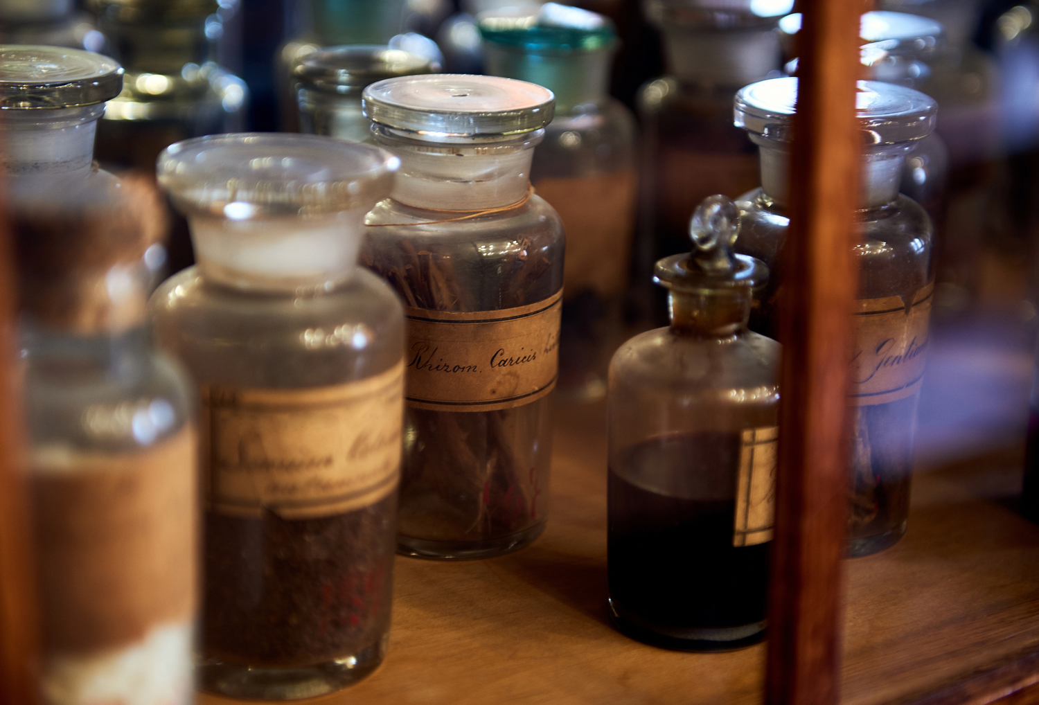 Nahaufnahme alter Apothekerflaschen mit Etiketten und Kräuterextrakten in warmem, historischem Ambiente