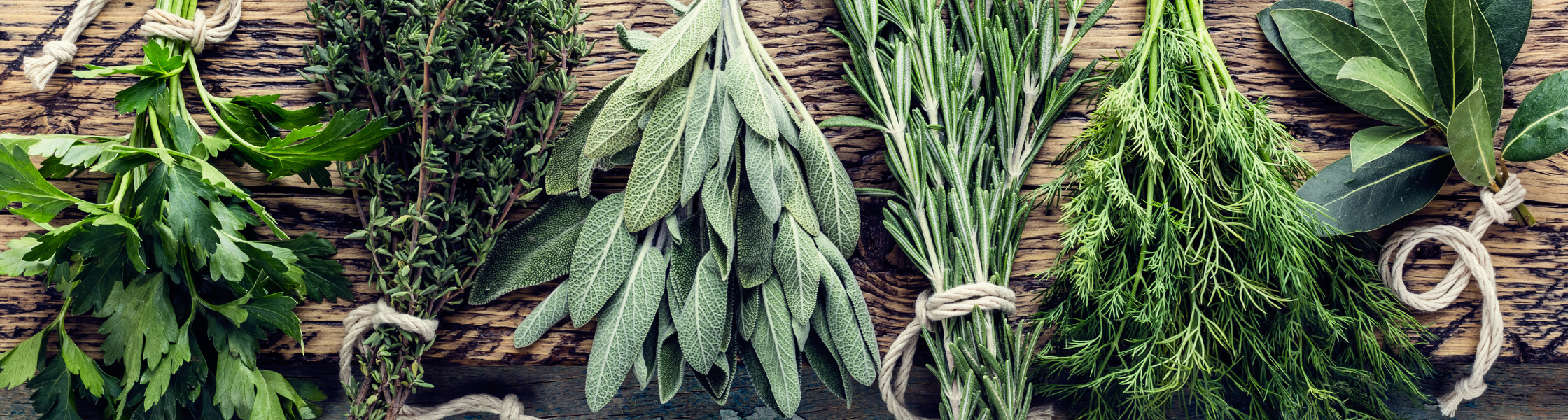 Mehrere Bündel frischer Kräuter wie Petersilie, Salbei, Rosmarin und Dill auf rustikalem Holztisch.