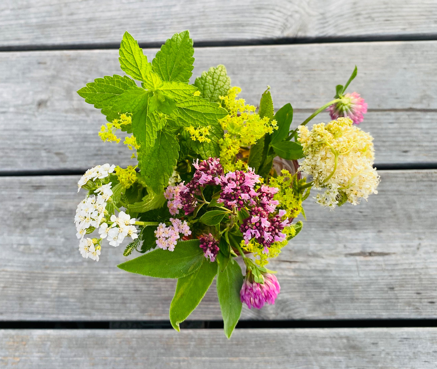 Frischer Wildkräuterbund mit Frauenkräutern auf Holzuntergrund