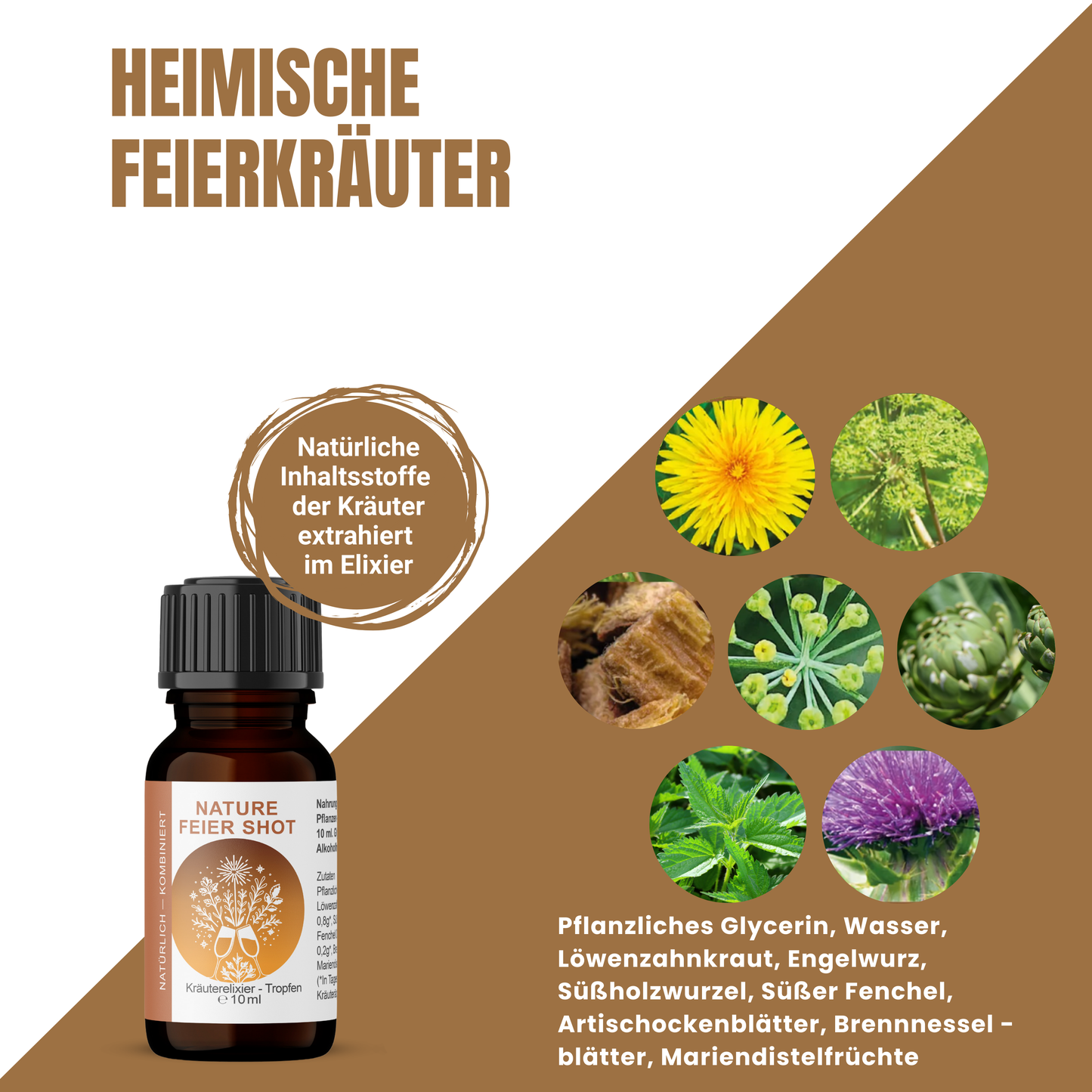 10-ml-Flasche NatureFeier Shot, daneben verschiedene Kräuter wie Löwenzahn, Engelwurz, Fenchel, Artischocke und Brennnessel in runden Bildausschnitten.